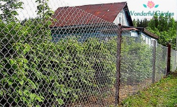 مؤسسة الإبداع للمقاولات العامة